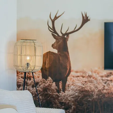 Awesome In With Wifi Holiday home *